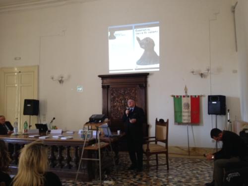 Progetto Martina - Conferenza (12/3/2014)