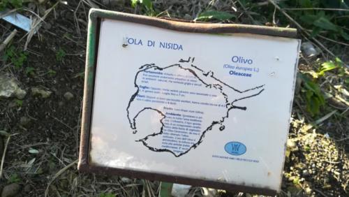 Sopralluogo dell'isola di Nisida per le Giornate di Primavera del FAI (12/2/2019)