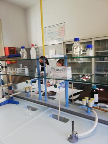Estrazione di oli essenziali nel Laboratorio di Chimica (5/2/21)
